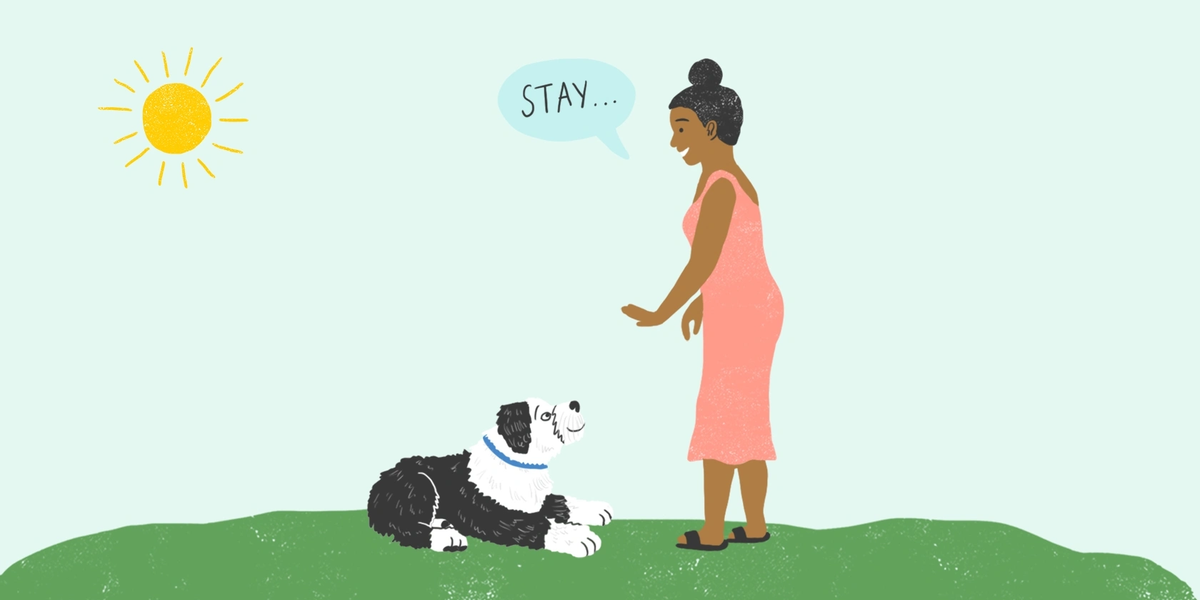 How to Use Positive Reinforcement When Training Your Pet Dog